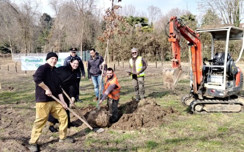 Piantalalì: riqualificate due aree con trenta nuovi alberi e centinaia di arbusti