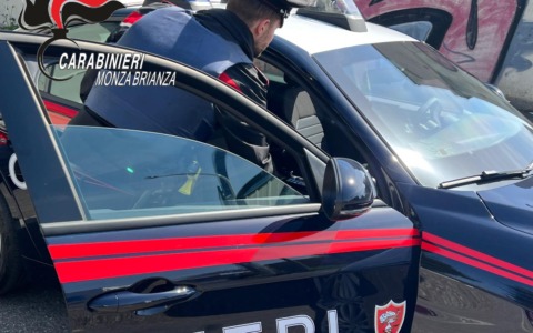 A un 41enne romagnolo addebitati 21 furti