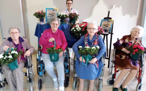 Le azalee per la ricerca: un gesto di solidarietà