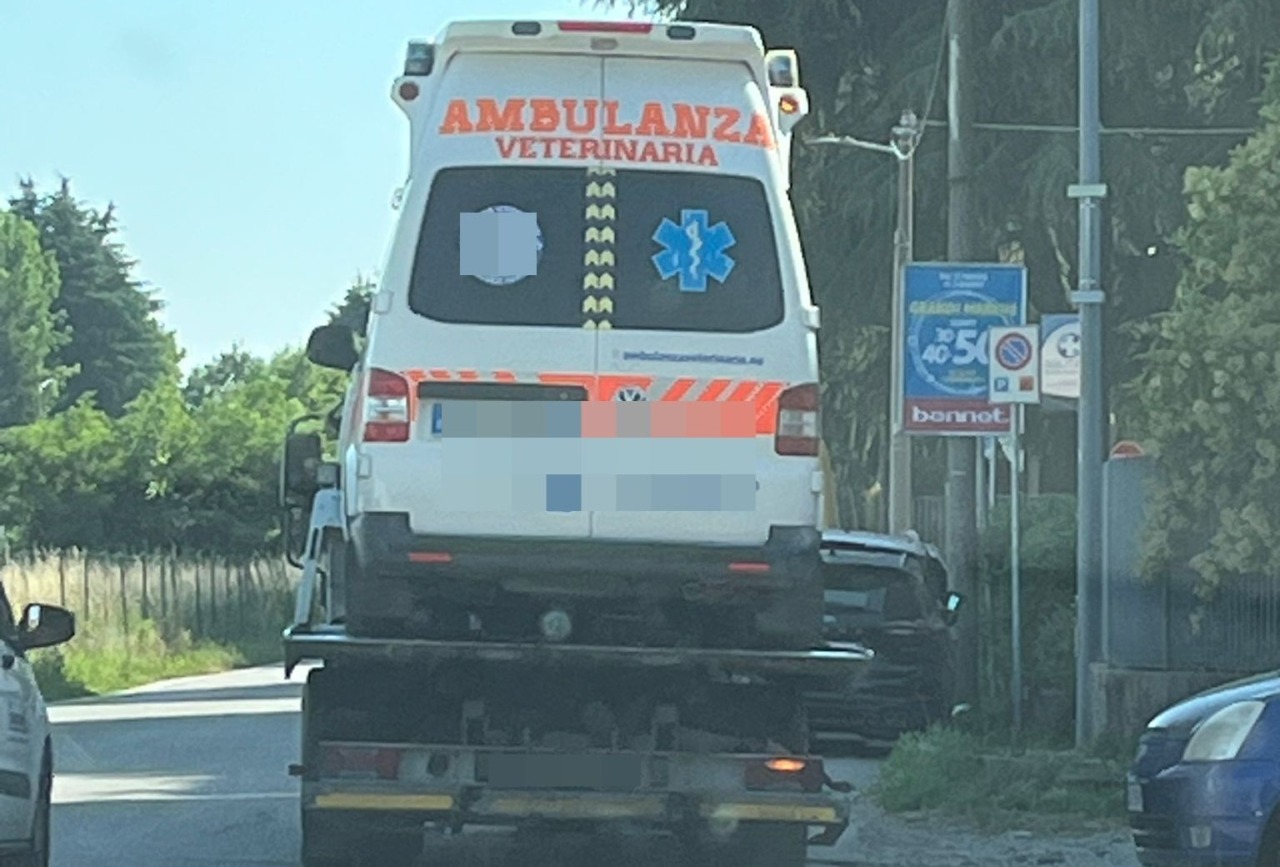 Sequestrata un’ambulanza veterinaria priva di assicurazione dalla Polizia Locale