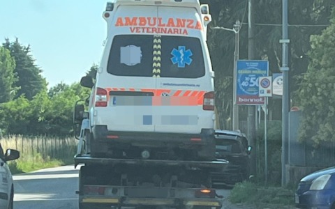 Sequestrata un’ambulanza veterinaria priva di assicurazione dalla Polizia Locale