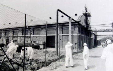 Ricordare il disastro dell’Icmesa: la città celebra il 50esimo anniversario