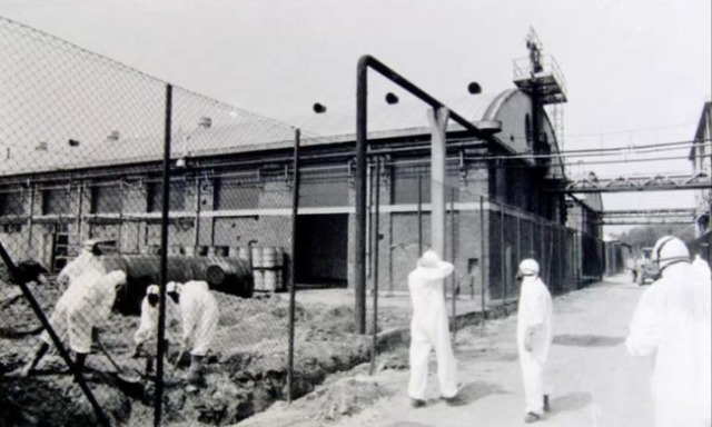 Ricordare il disastro dell’Icmesa: la città celebra il 50esimo anniversario