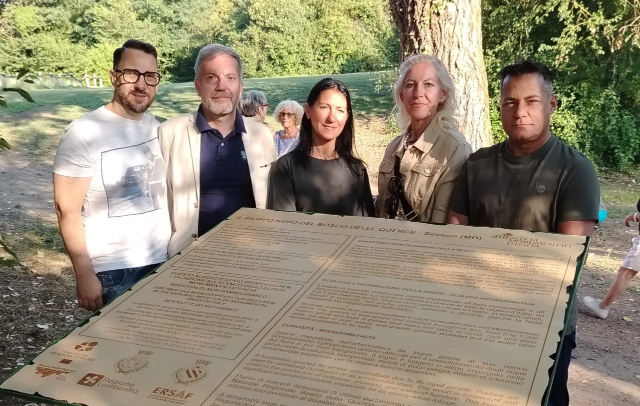 Scoperta della targa per il pioppo monumentale a Seveso