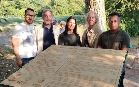 Scoperta della targa per il pioppo monumentale a Seveso